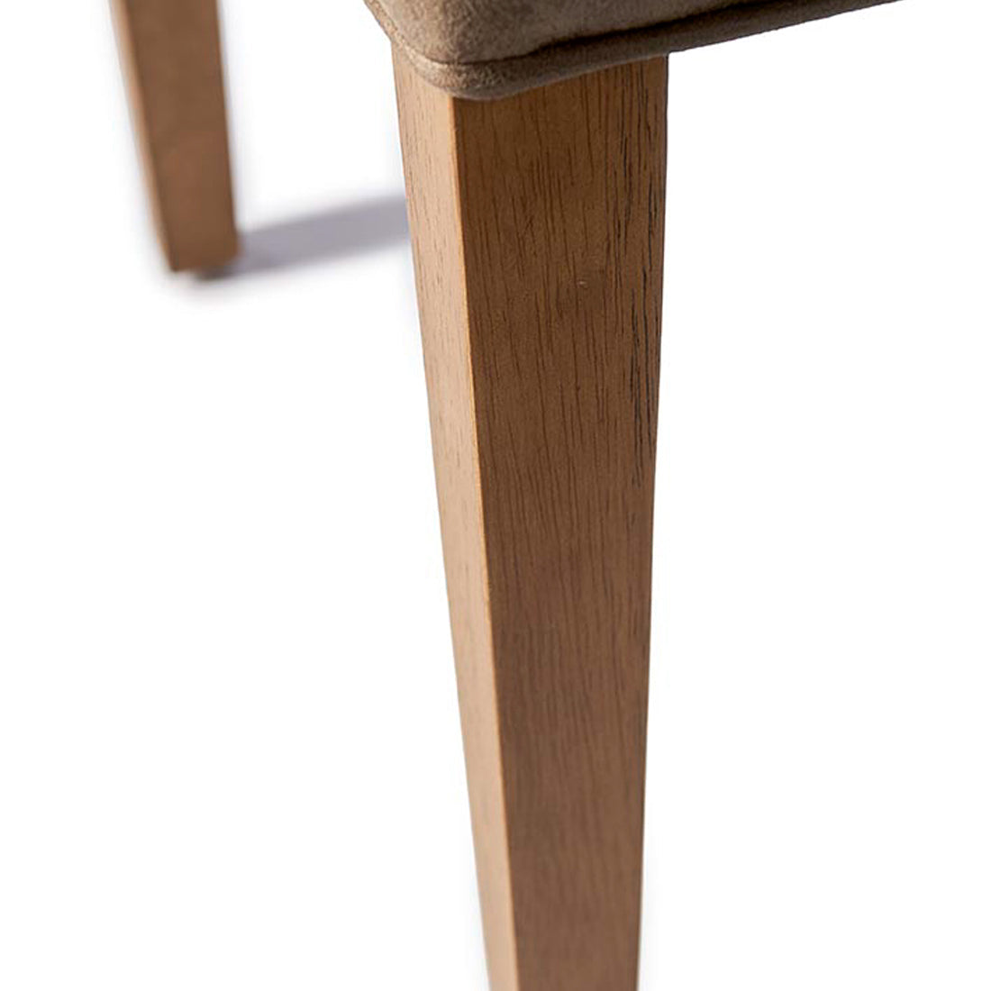 Hampton Classic DC Pellini Coffee