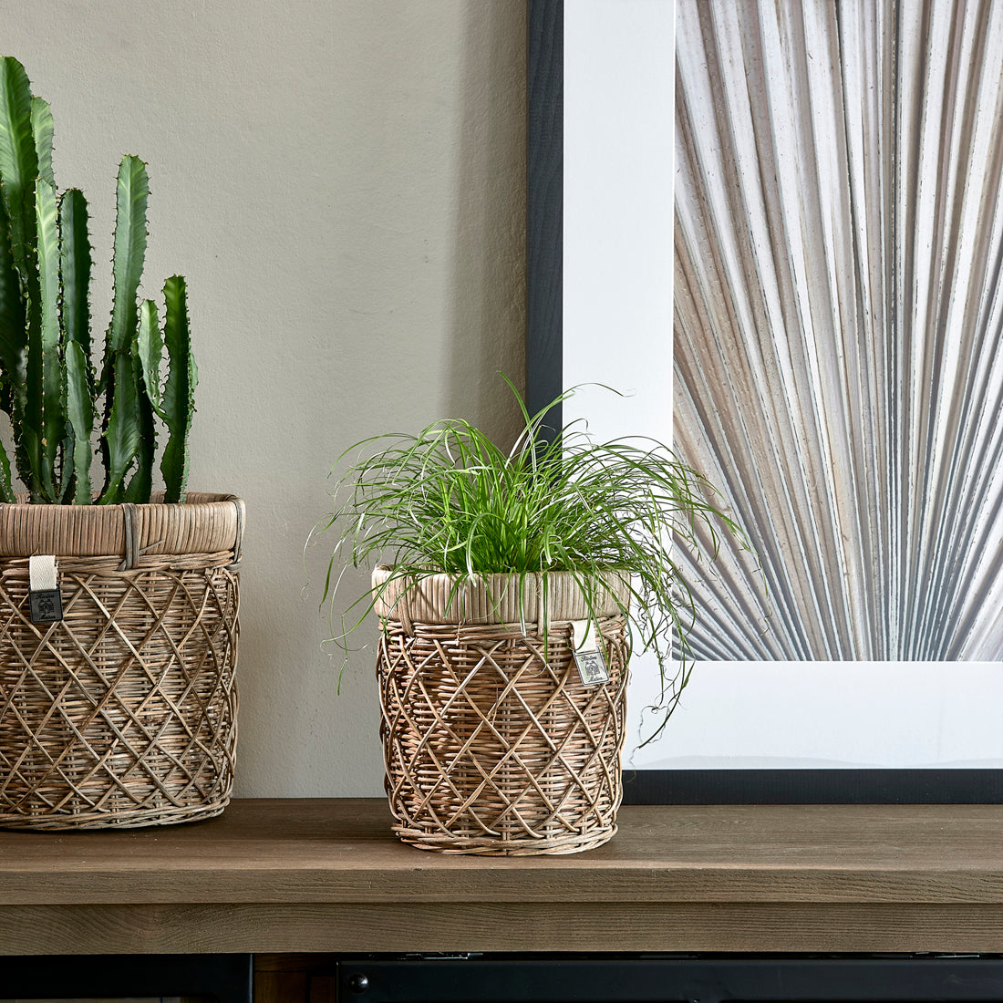 RR Diamond Weave Planter S