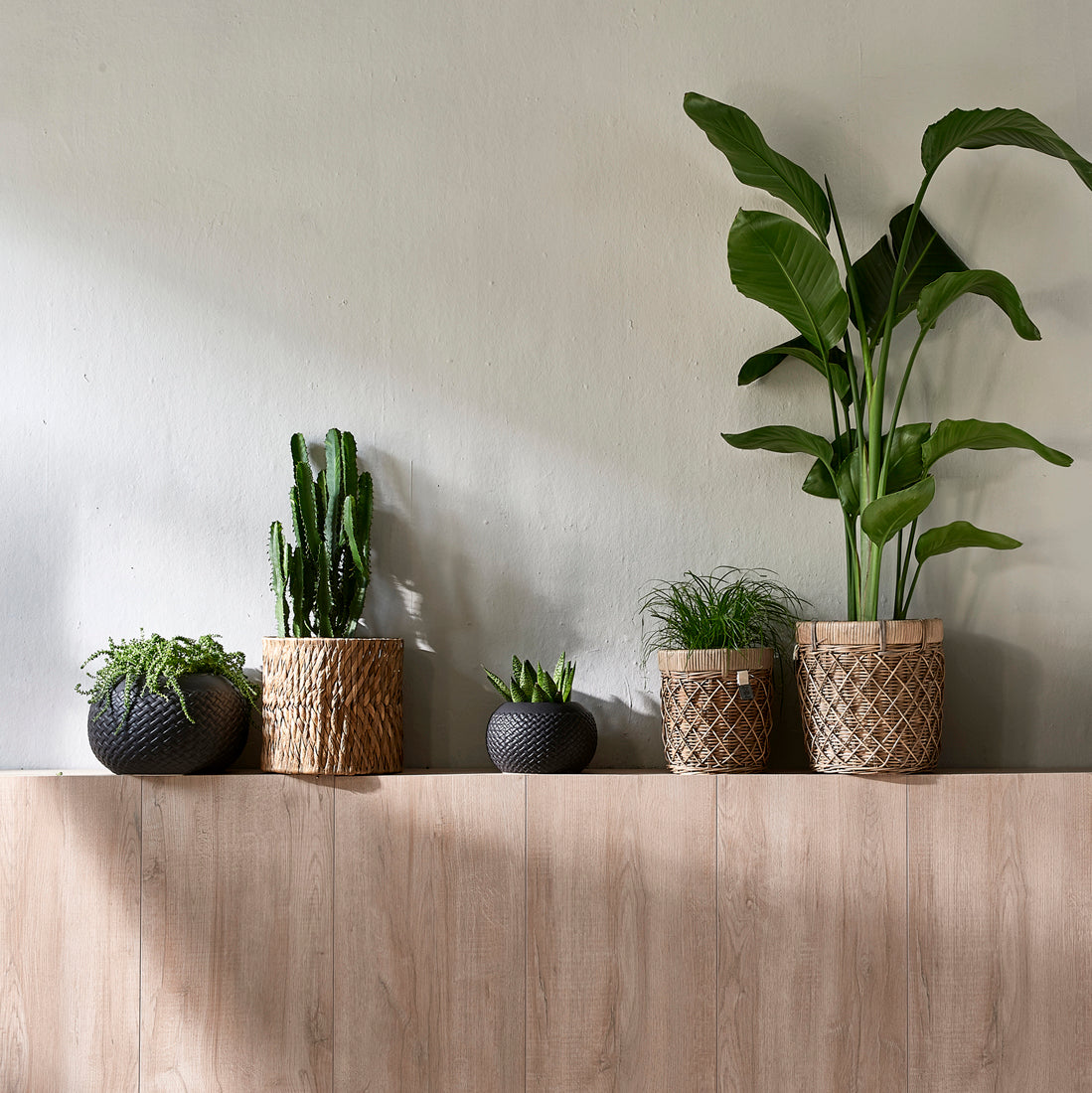 RR Diamond Weave Planter S