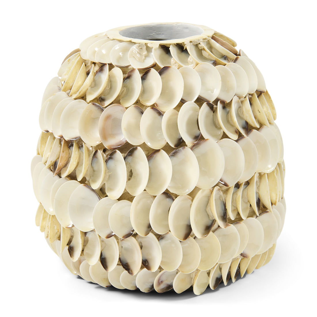 Ocean Cay Shell Vase Low