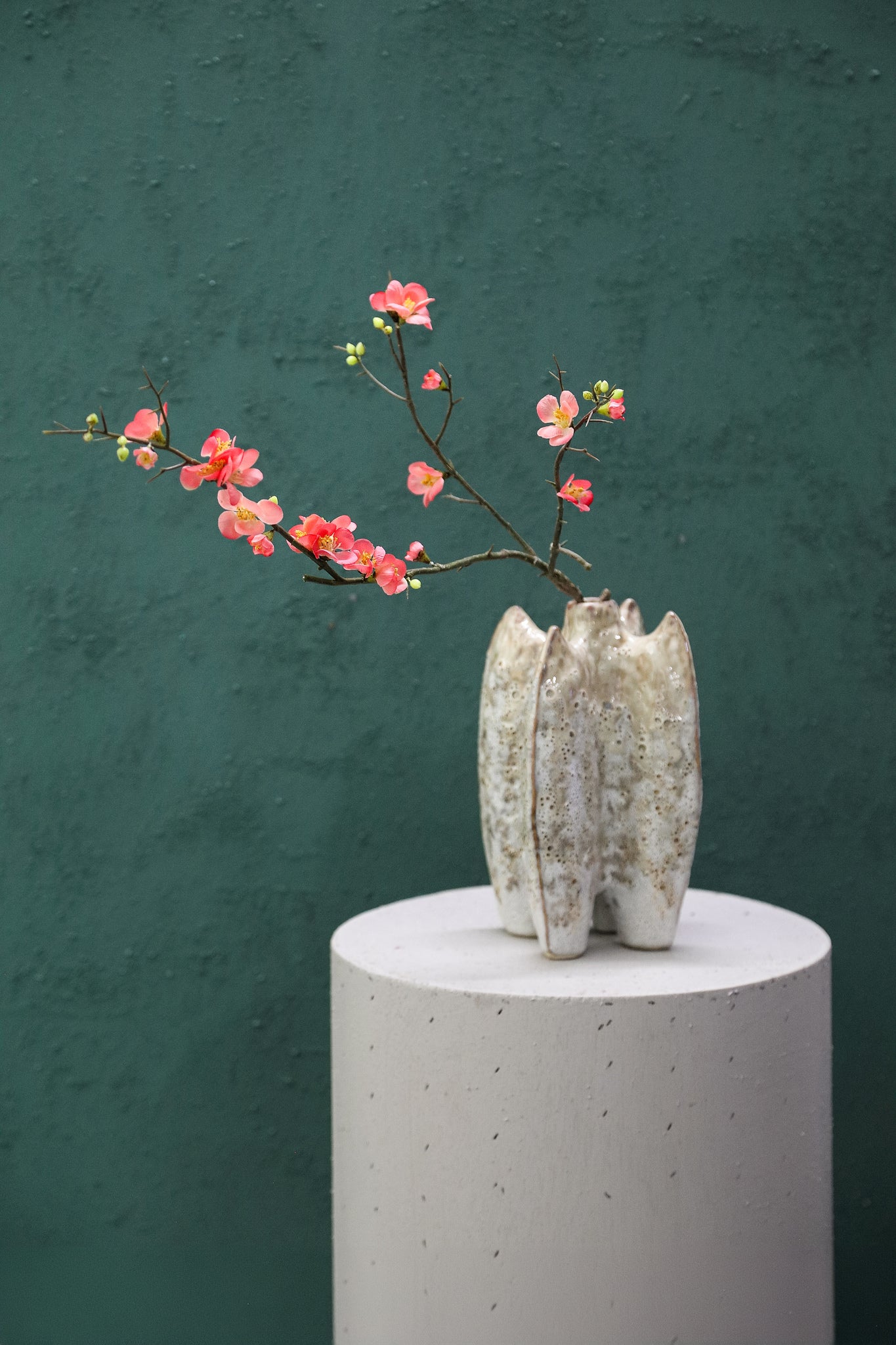 blossom bloem pink cherry blossom simple twig
