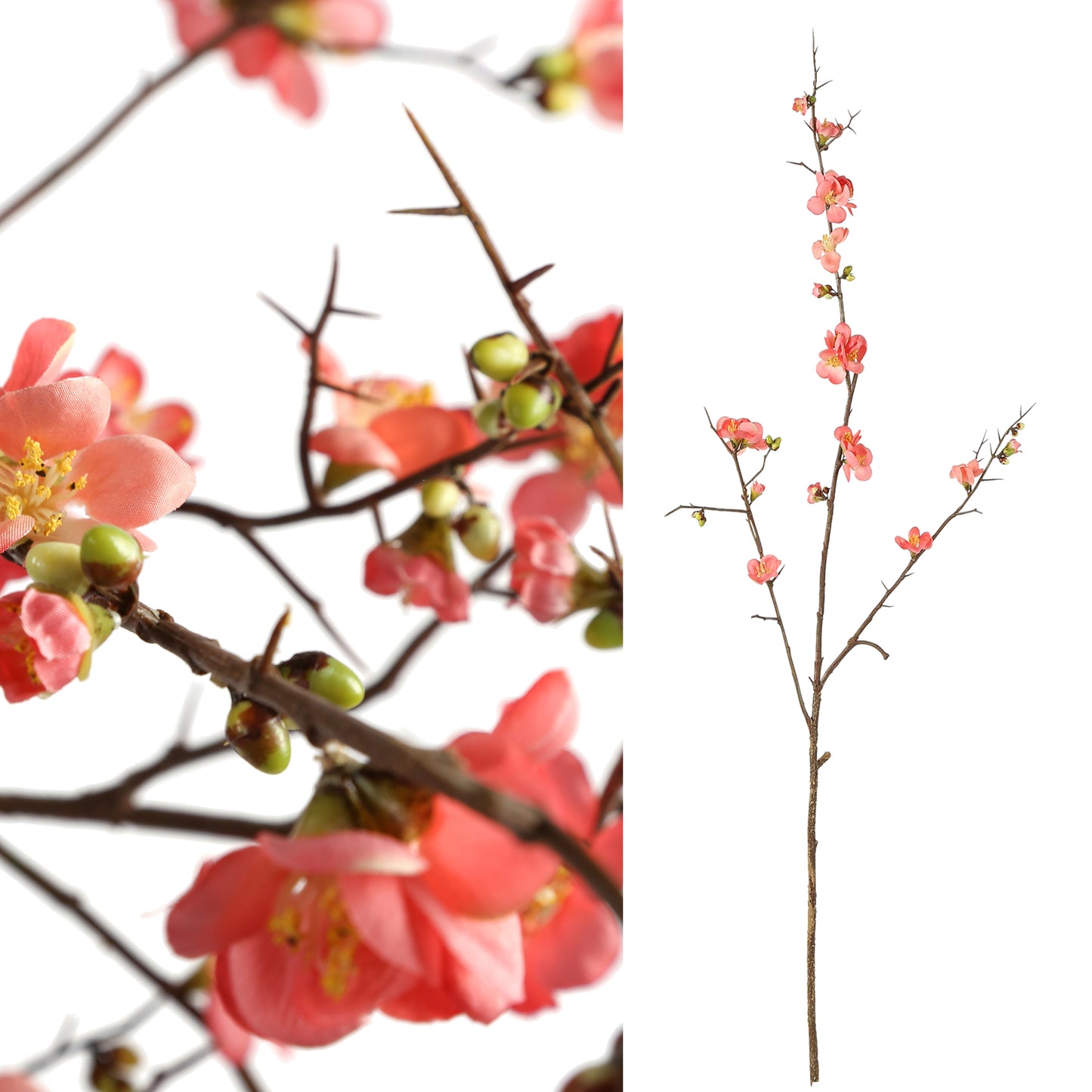 blossom bloem pink cherry blossom simple twig