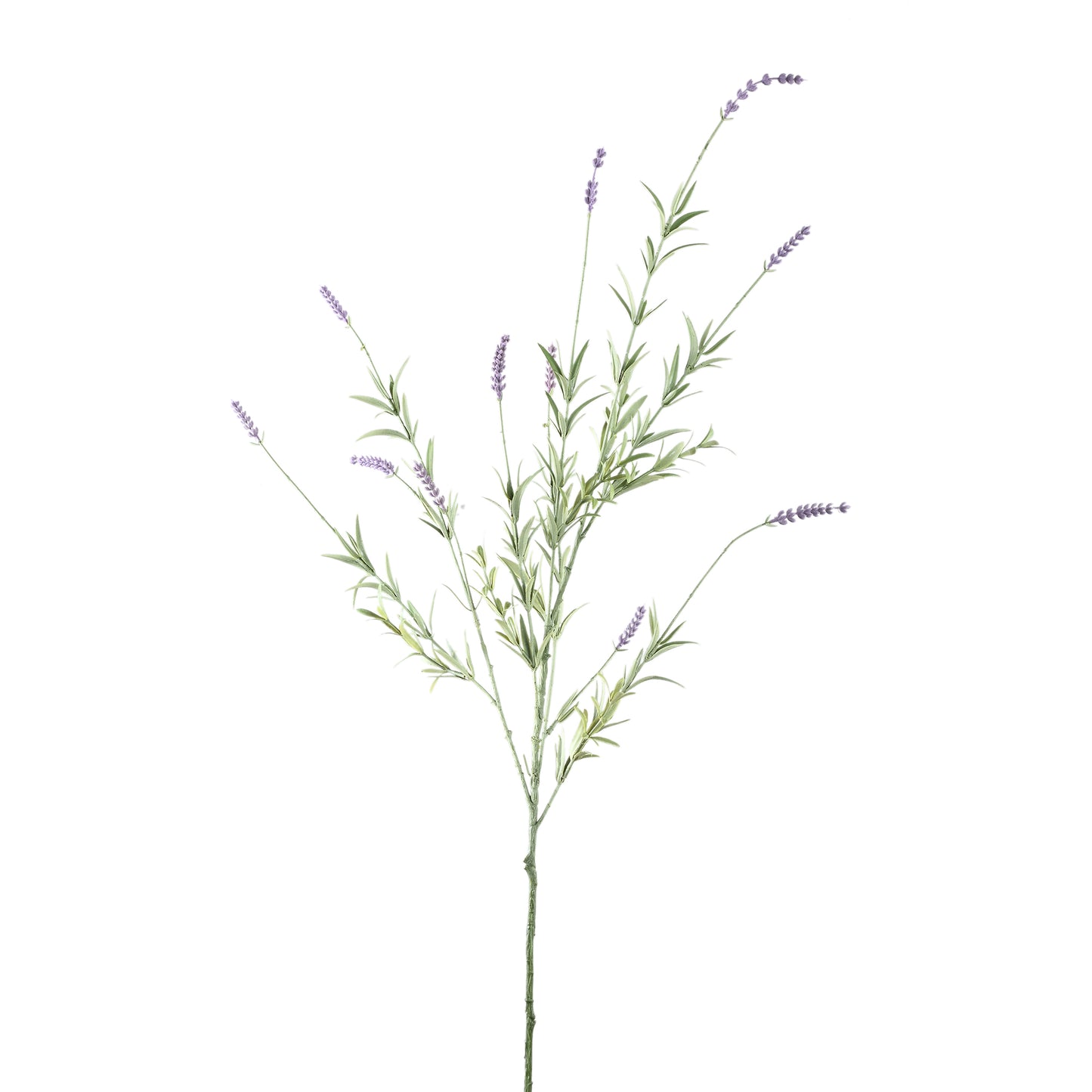 Twig Plant Purple lavender spray