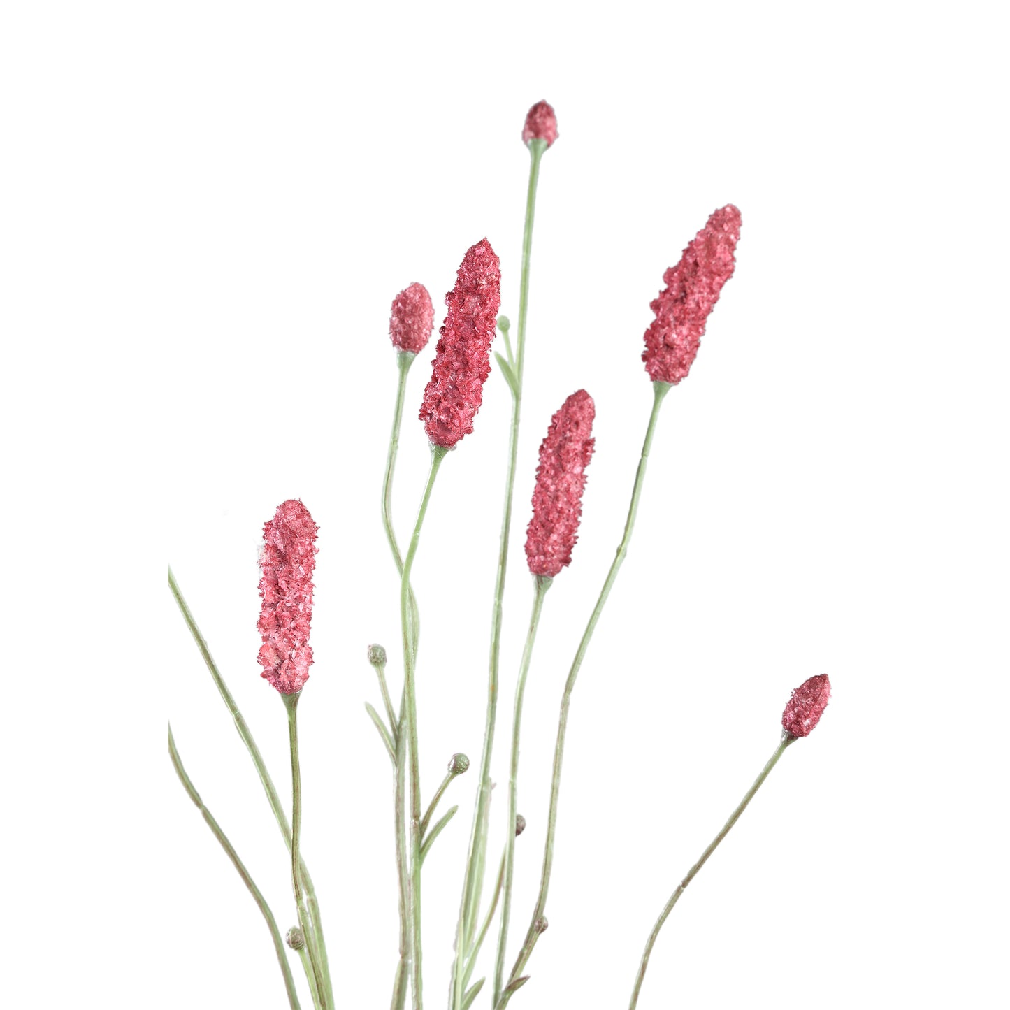 Twig Plant Pink Burnet Spray