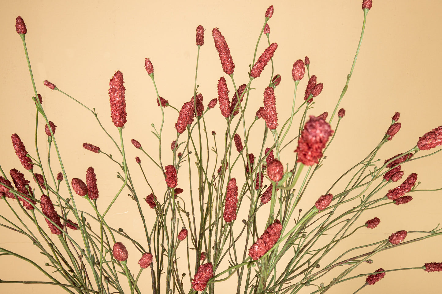 Twig Plant Pink Burnet Spray