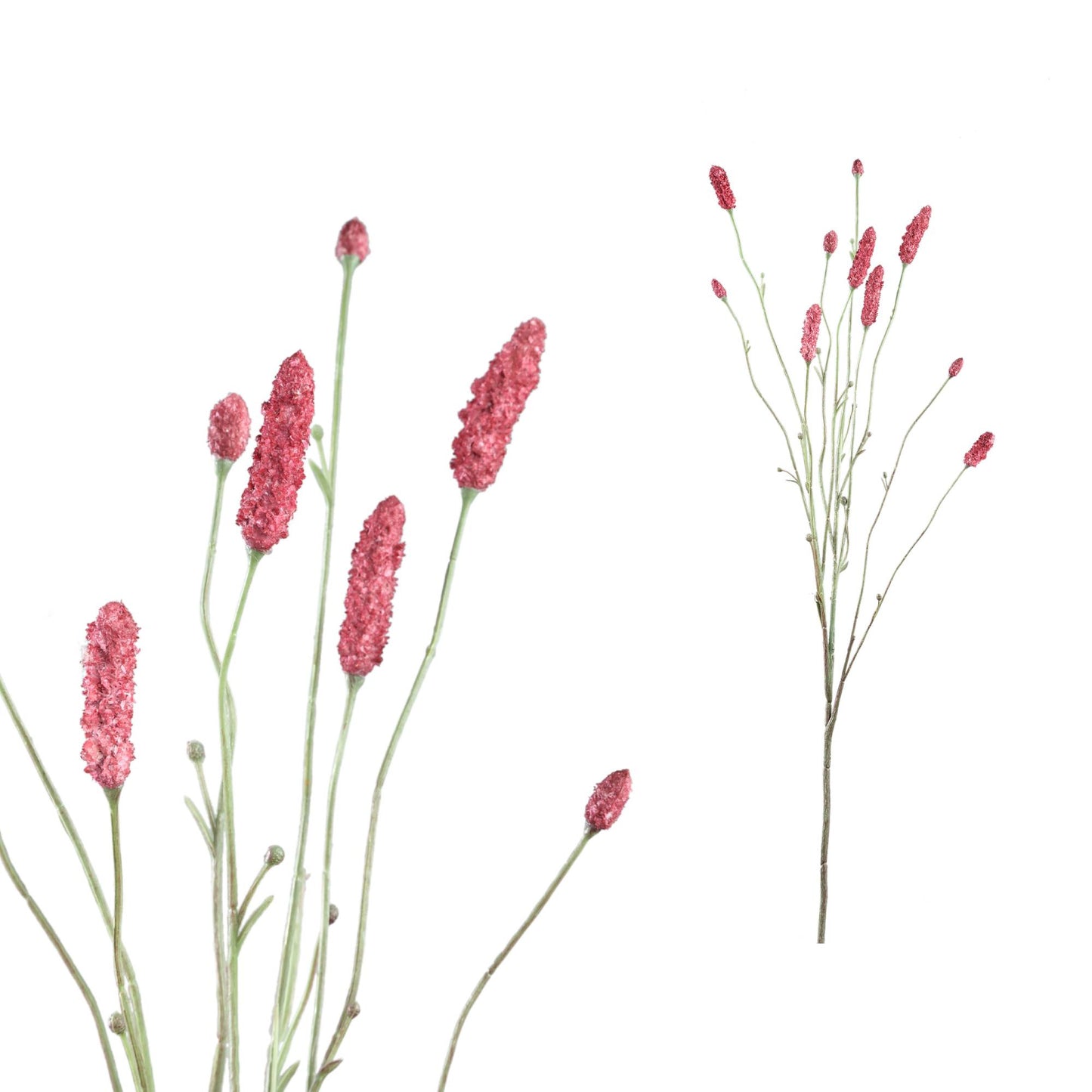 Twig Plant Pink Burnet Spray