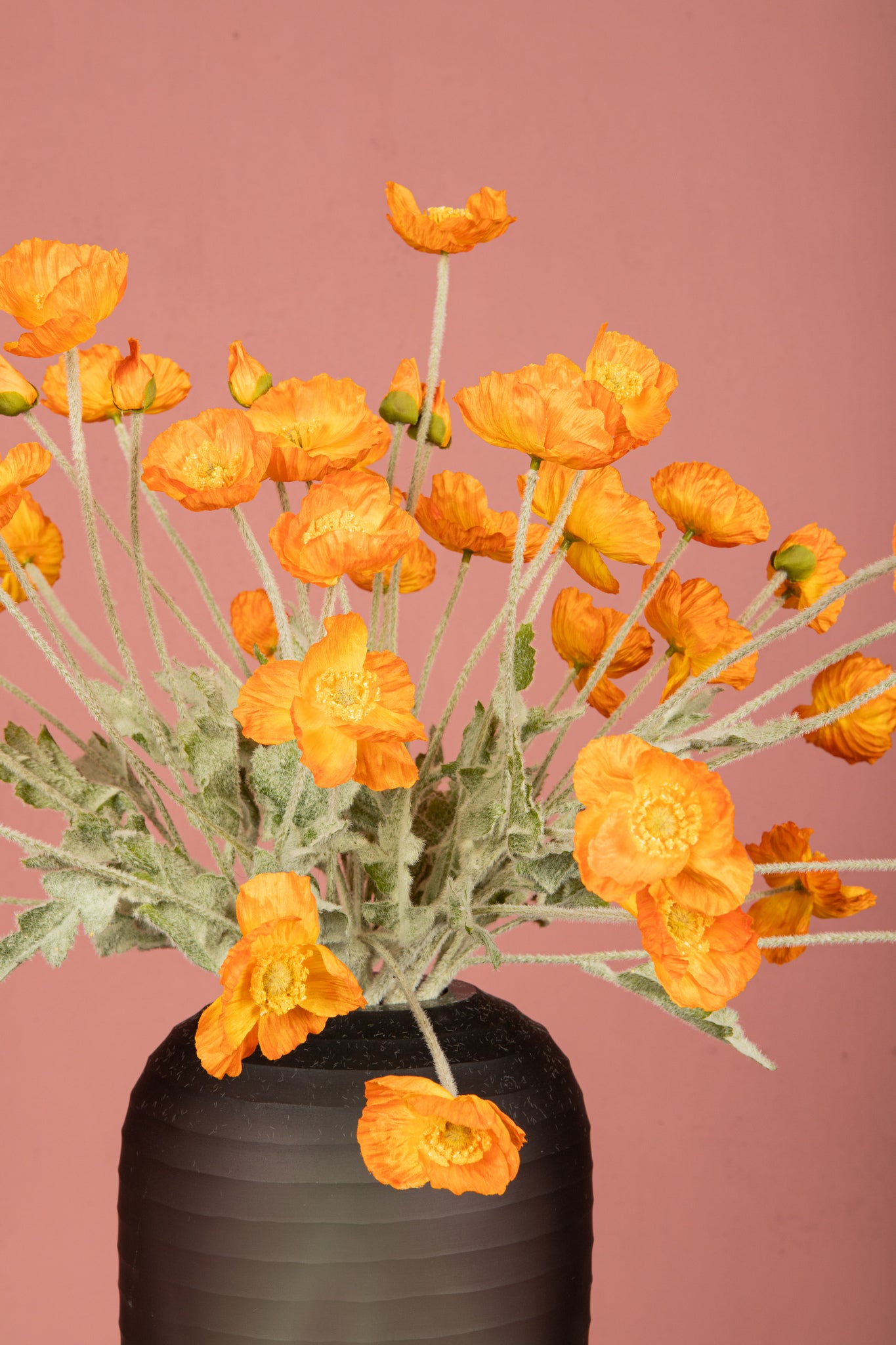 Zijdebloem Poppy Spray