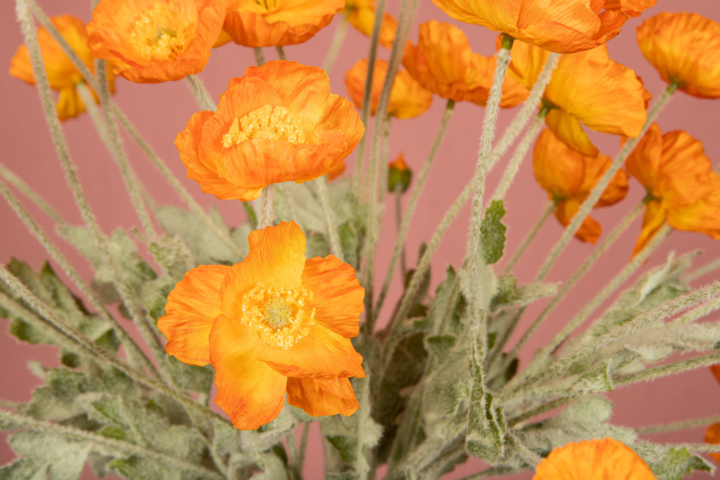 Zijdebloem Poppy Spray