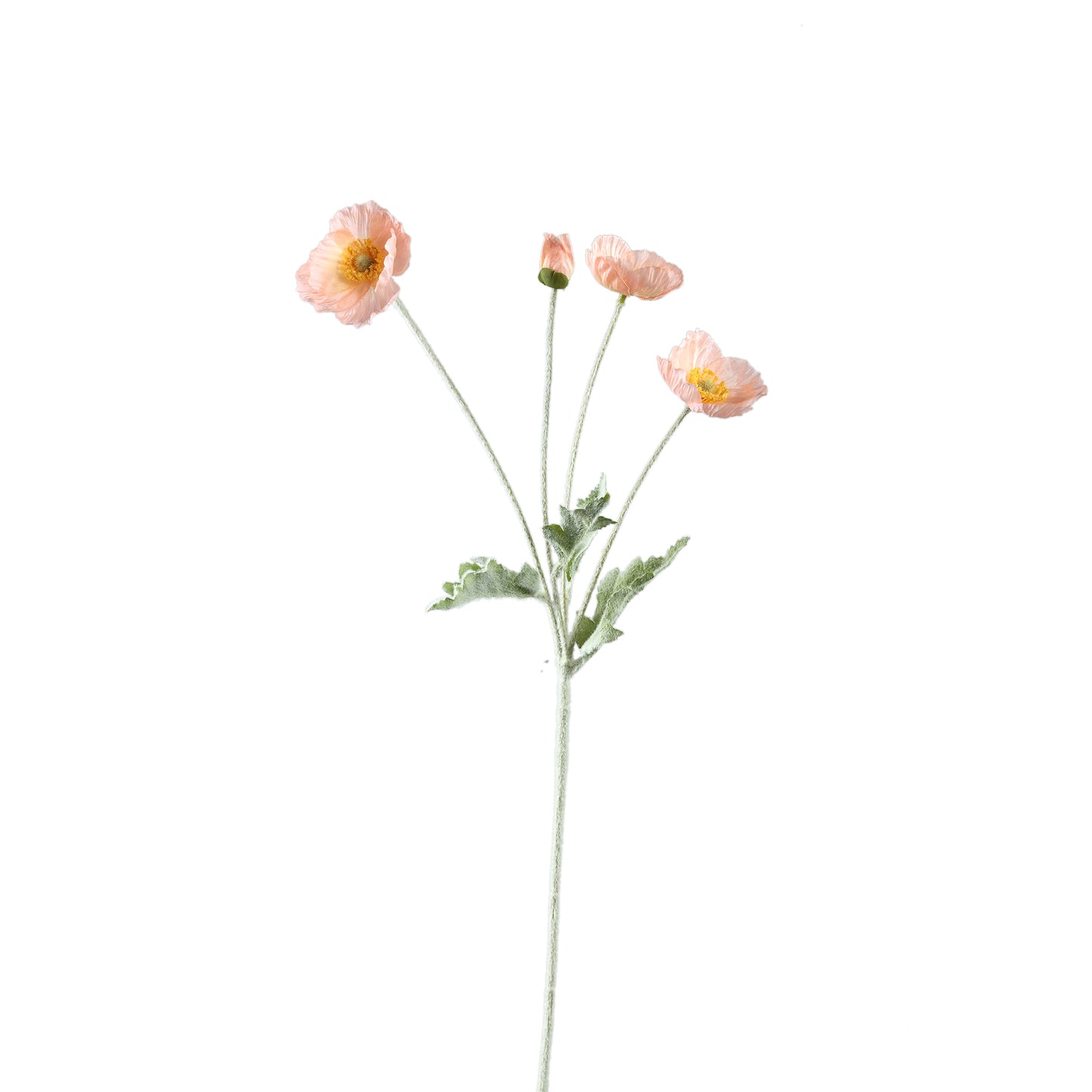Zijdebloem Poppy Spray