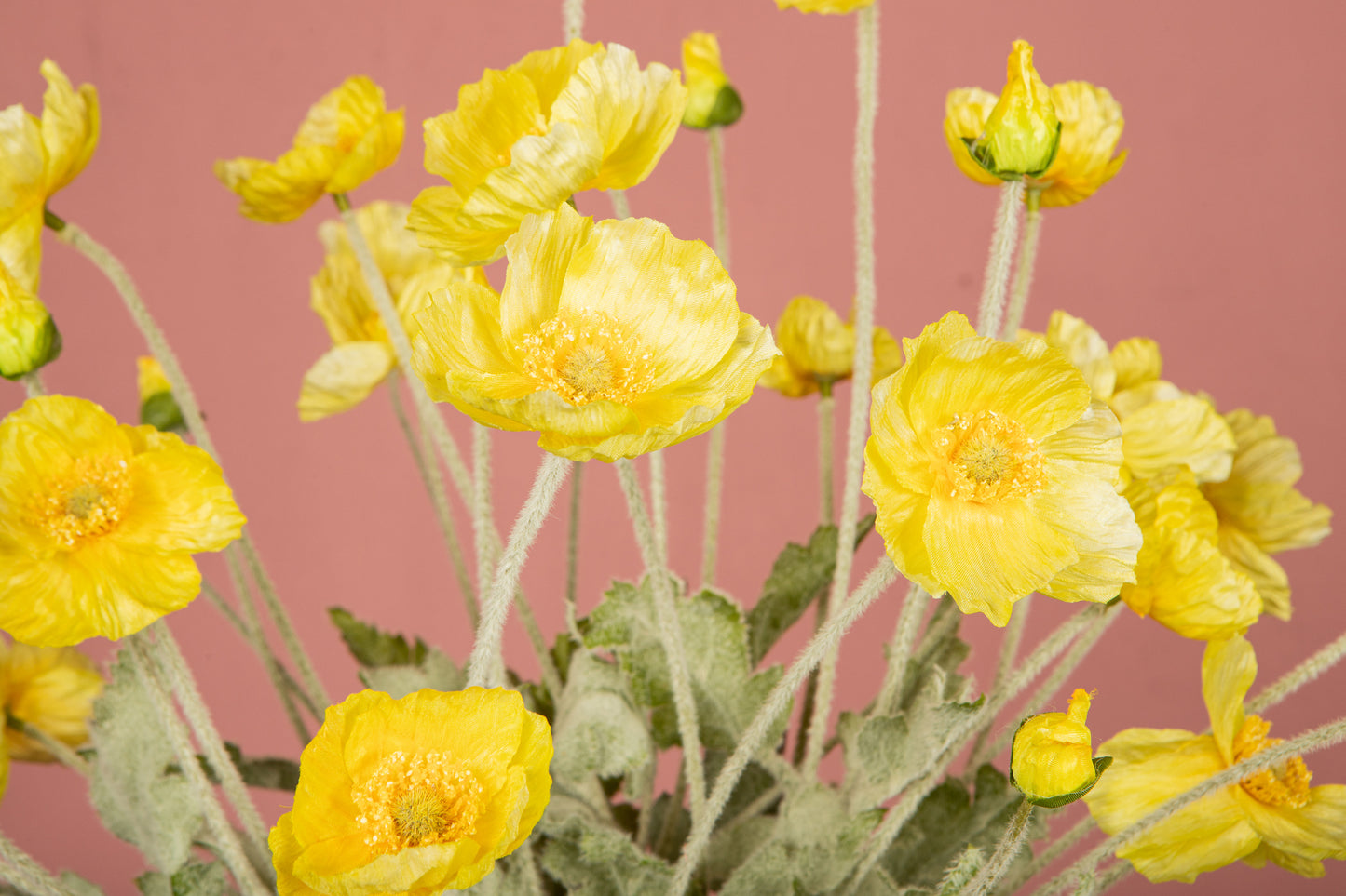 Zijdebloem Poppy Spray