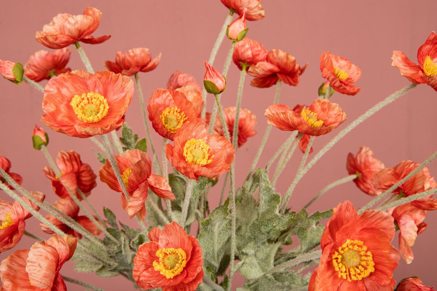 Zijdebloem Poppy Spray