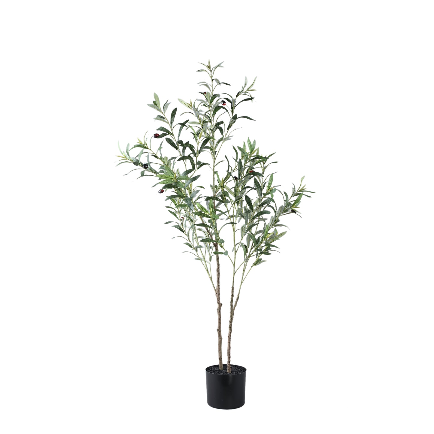 Olijfboom (92cm)