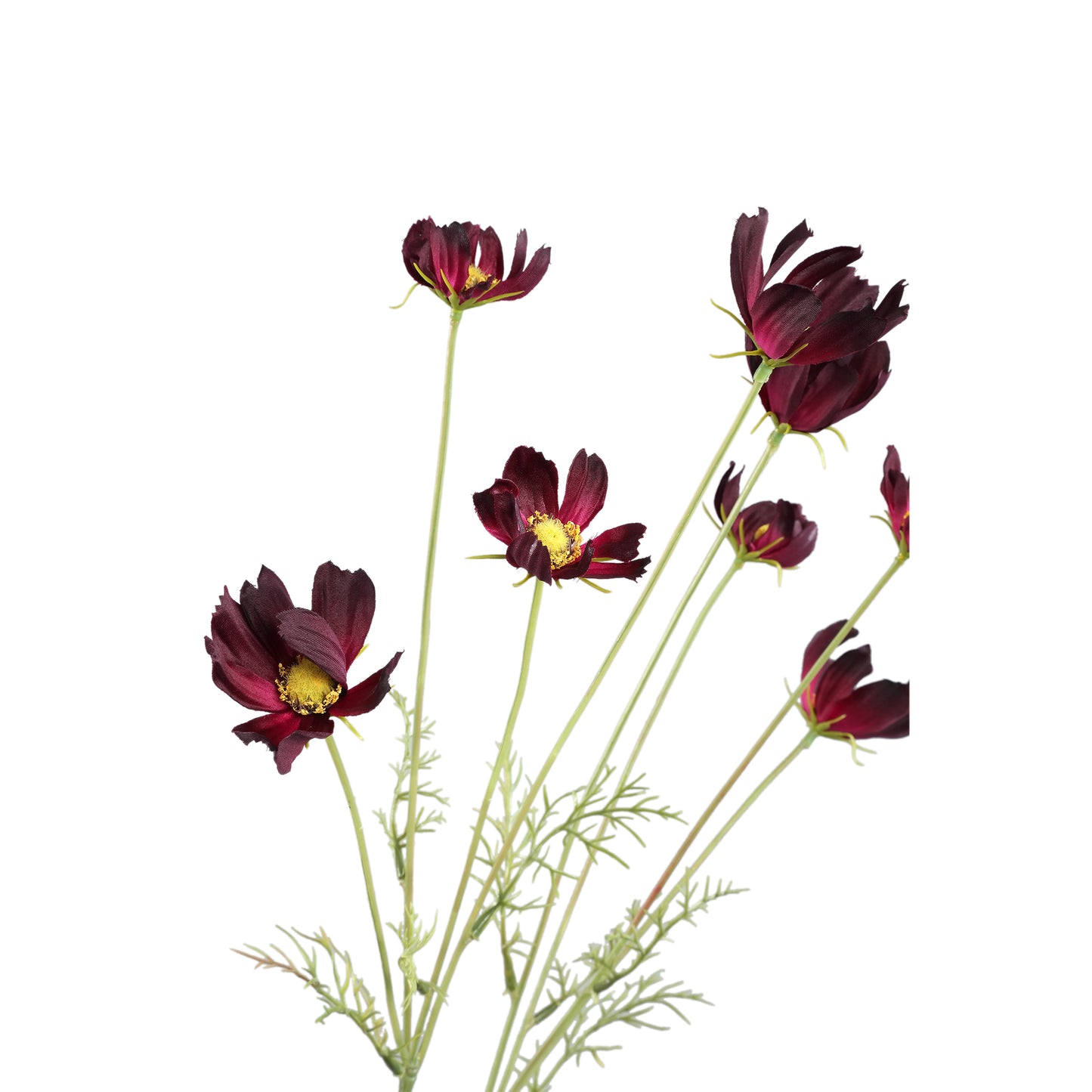 Garden Flower Burgundy Cosmos Spray
