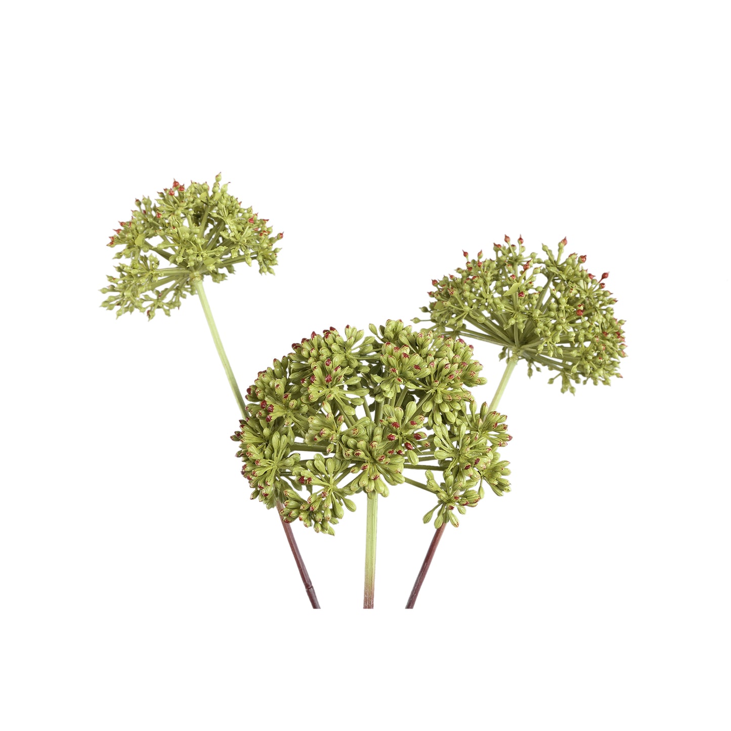 Garden Flower Dark Green Angelica Spray