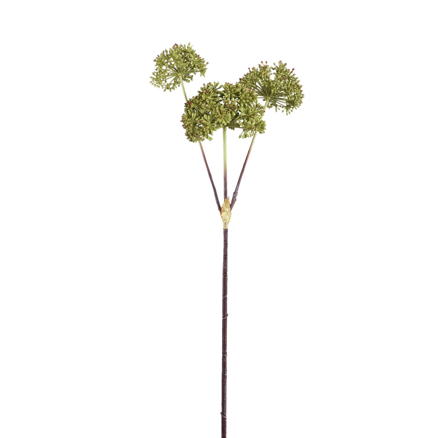 Garden Flower Dark Green Angelica Spray